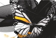 Design solution image