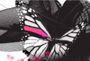Design solution image hover