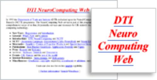 DTI NeuroComputing Web