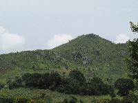IMG_0061.jpg