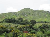 IMG_0063.jpg